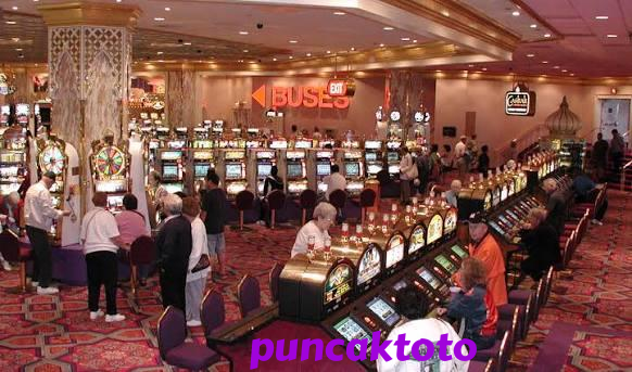 puncaktoto Live Dealer Tables at Your Fingertips